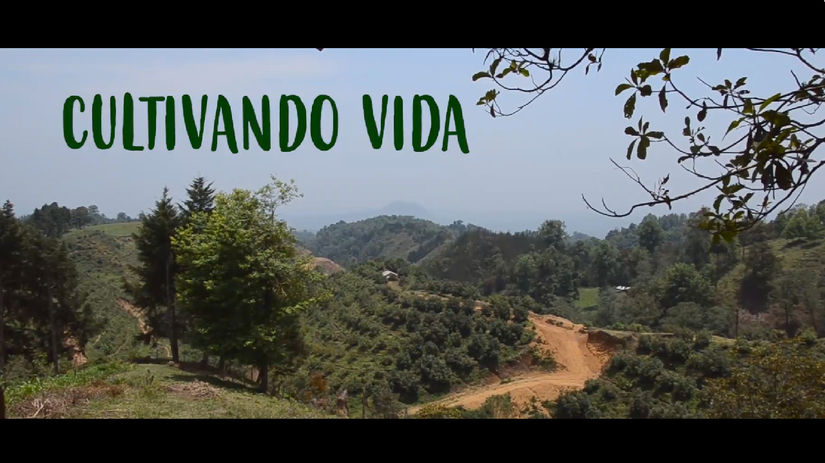 Cultivando Vida. Micoxtla, Xico.